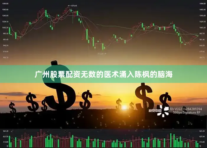 广州股票配资无数的医术涌入陈枫的脑海