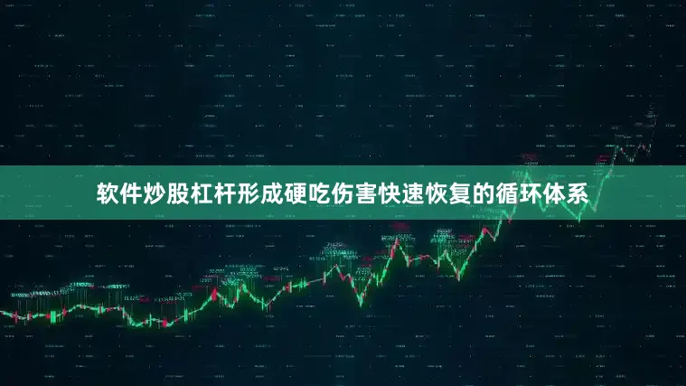 软件炒股杠杆形成硬吃伤害快速恢复的循环体系